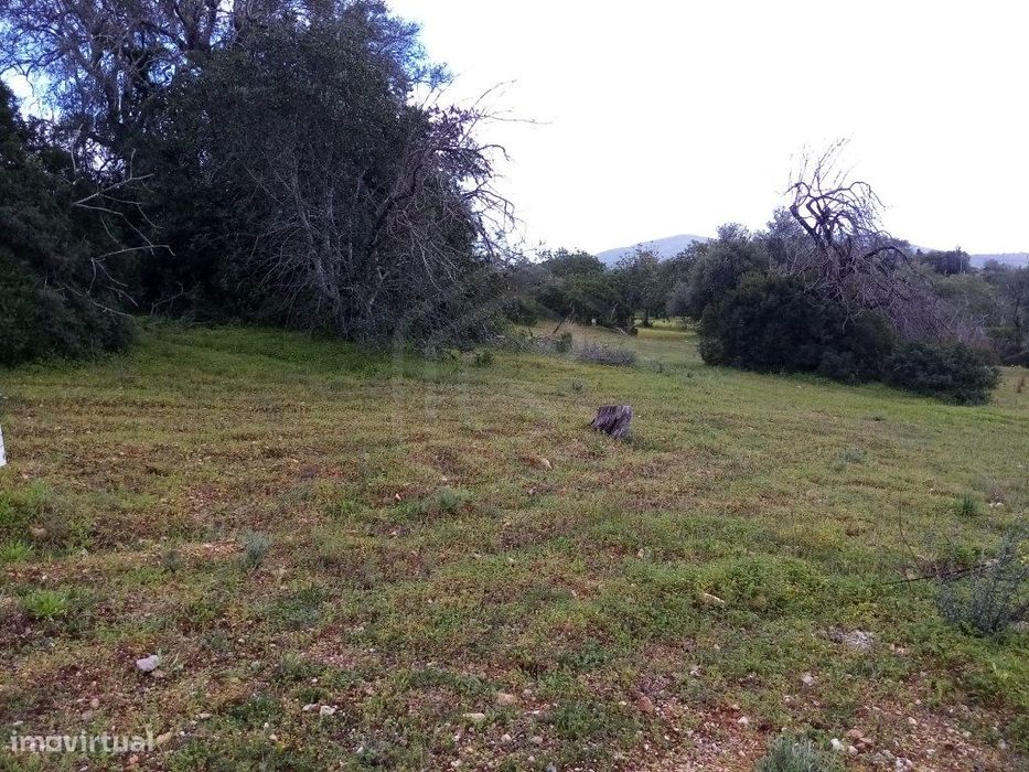 Terreno Rustico com 1394 m2, Loulé, Algarve