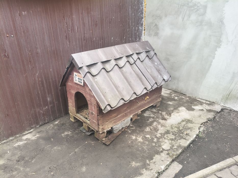 Buda dla psa Buda