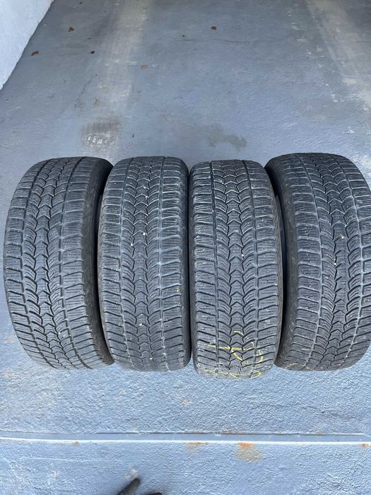 Opony zimowe Dębica 205/55 R16