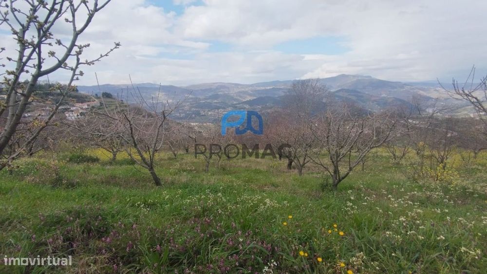 Terreno Urbanizável de 7959 m² com Armazém