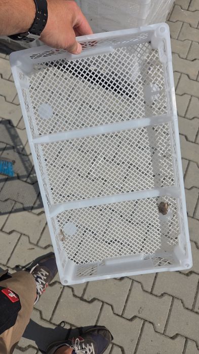 Skrzyneczka 3kg biała czysta
