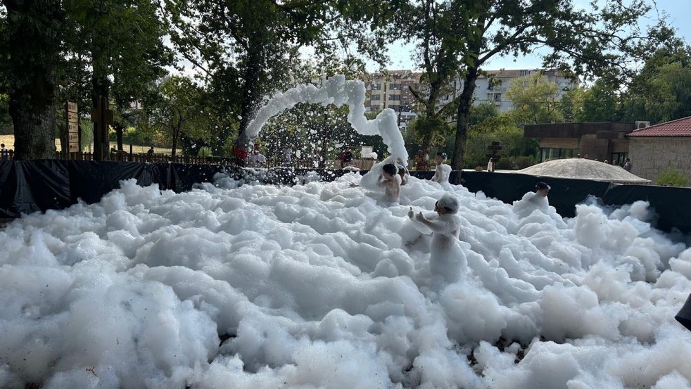 Aluguer de canhao de espuma