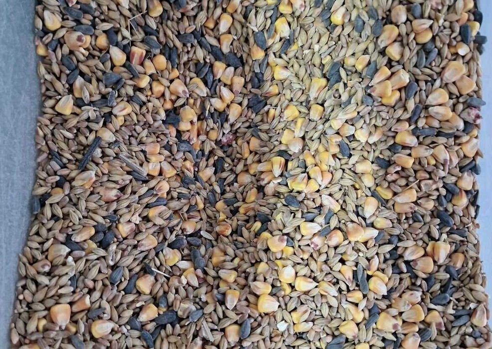 Кукурудза, Пшениця,Ячмінь,Насіння соняха,Зерносуміш