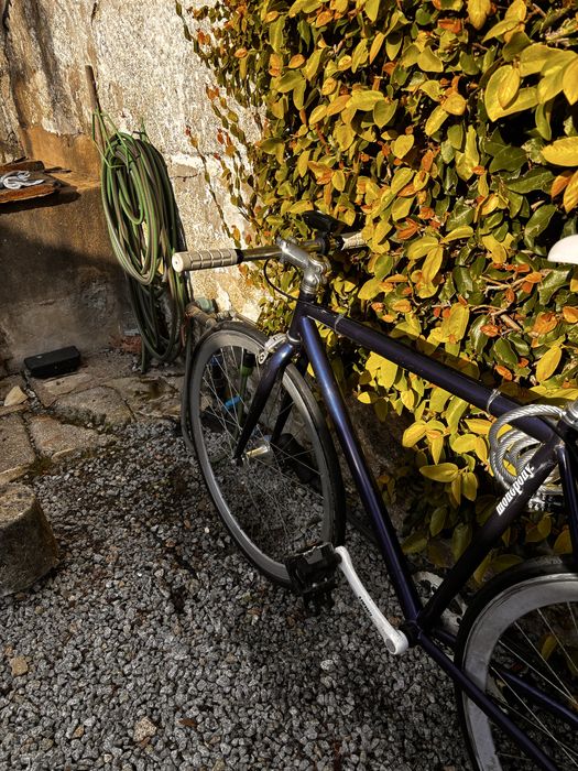 Bicicleta tipo Fixie