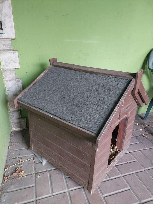 Buda dla psa 72cmdł.