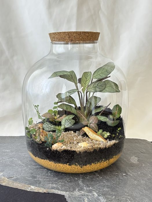 Terrários fechados