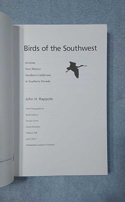 Ptaki Południowego-Zachodu po angielsku