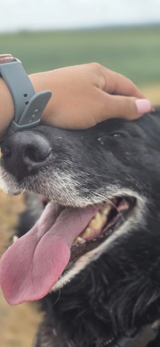Kochana sunia do adopcji