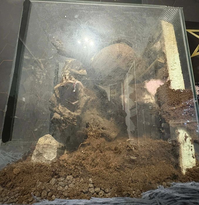 terarium dla zwierząt egzotycznych