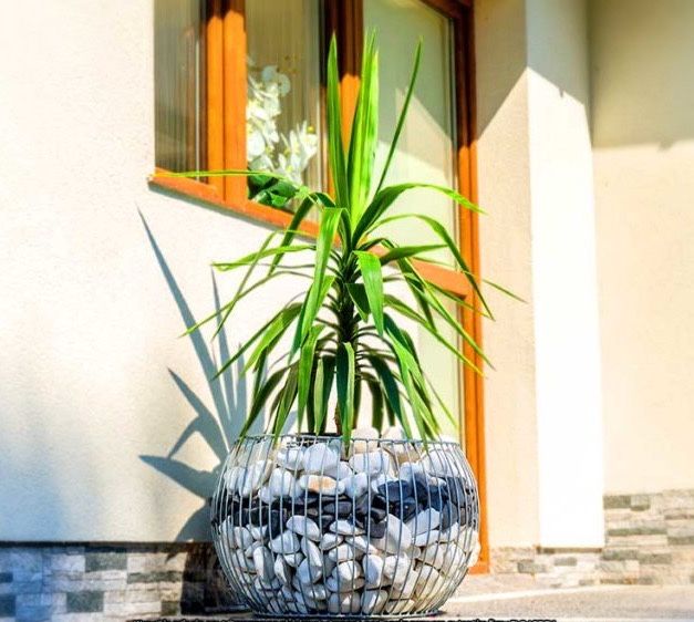 Декоративний габіон, вазон