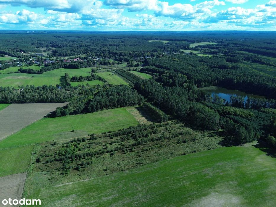 Grunt rolny 3,49 ha – rozległy teren w otoczeniu lasów i zieleni - Widok 5