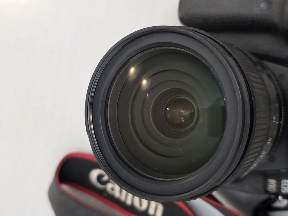 Canon 80D + Tamron 16-300mm VC