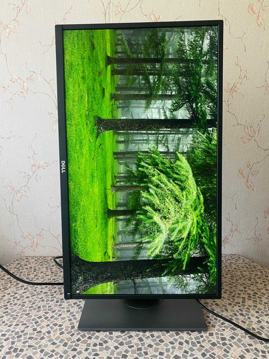 Монитор 27" Dell P2717H Black (210-AIRY)