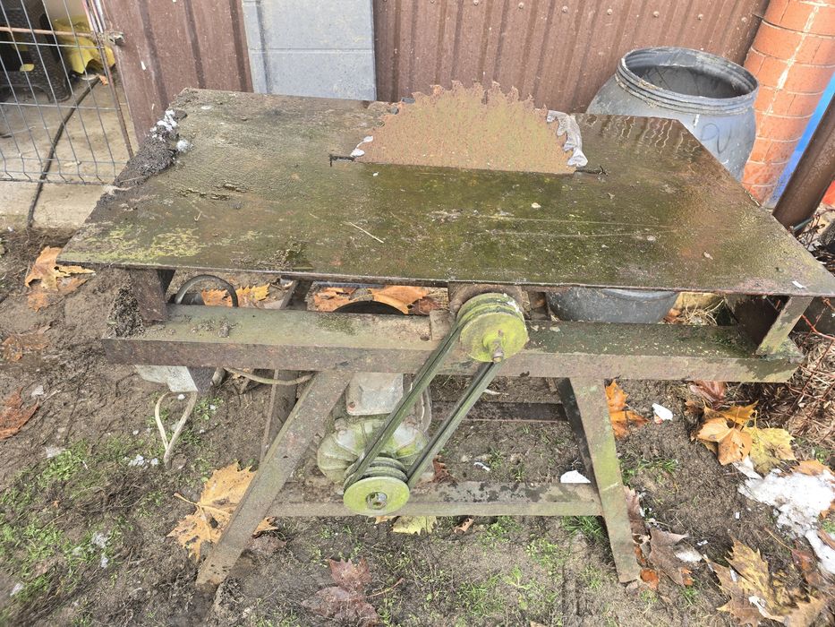 Krajzega mocna na siłę i dwa paski