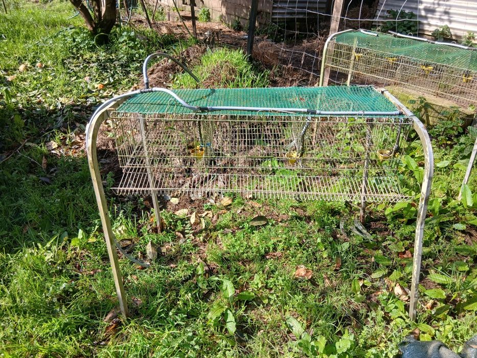 Gaiolas para codornizes