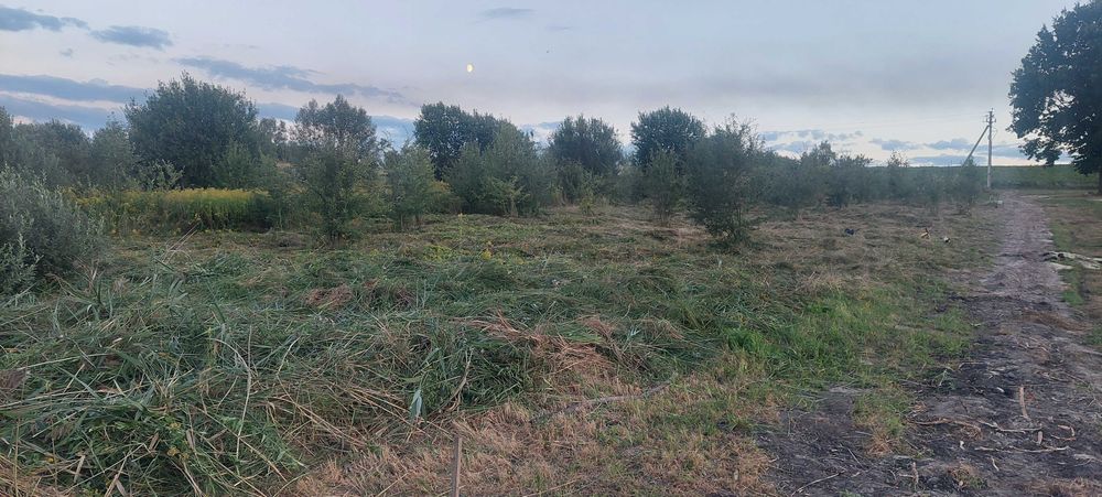 Продаж земельної ділянки під забудову с.Мшана