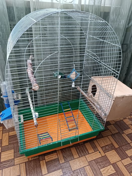 клітка для папуги