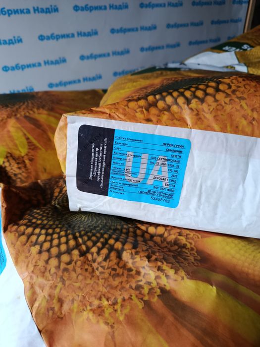 Кінетік під гранстар насіння соняшнику