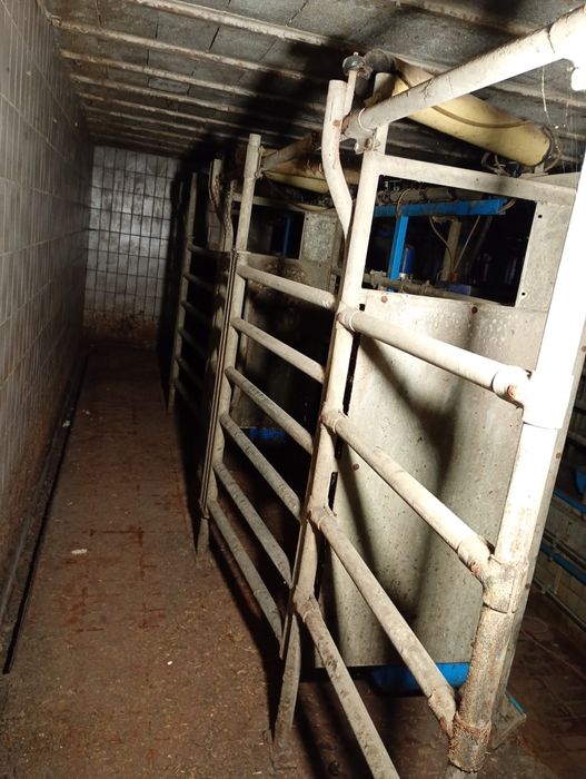 Hala udojowa auto tandem alfa laval 2×2