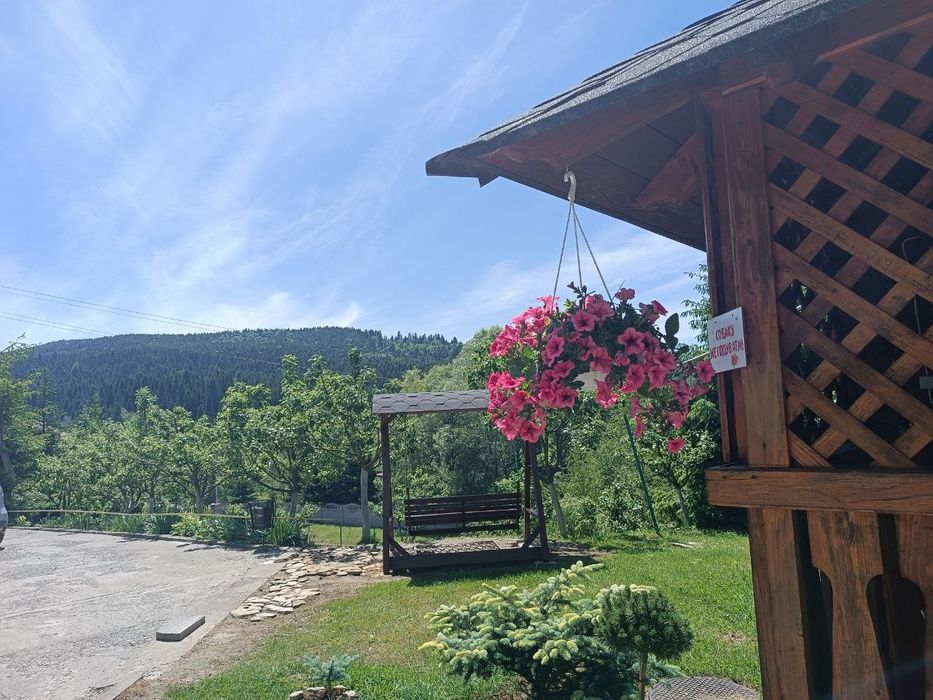 Квартира, студіо, номери, кімнати, будинок, вілла, приватний сектор