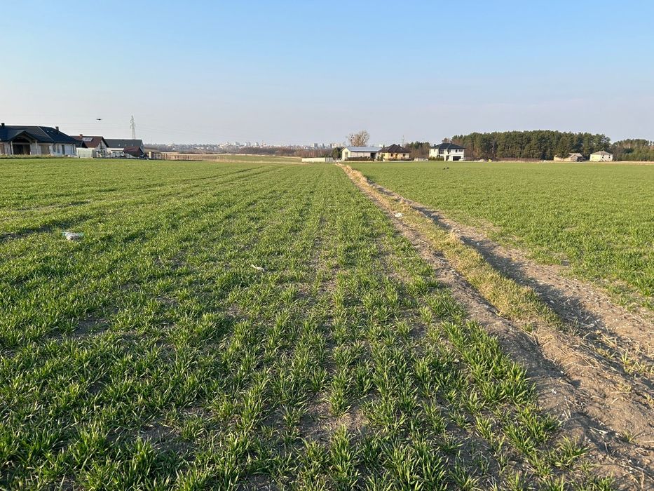 Działka budowlana - Widok 2