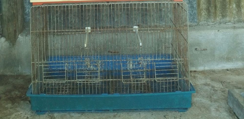 Gaiolas para criação de aves