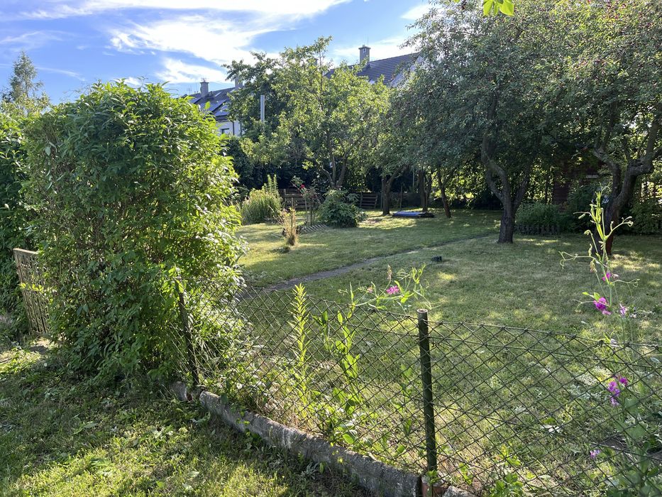Działka ROD Jagoda – Wrocław, ul. Malinowskiego – 305 m² - Widok 2