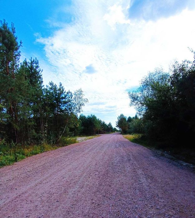 Продам лісову ділянку з виходом до води