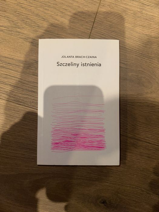 Szczeliny istnienia - Jolanta Brach-Czaina