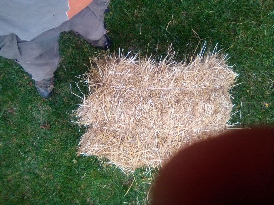 Sprzedam słoma jeczmienna
