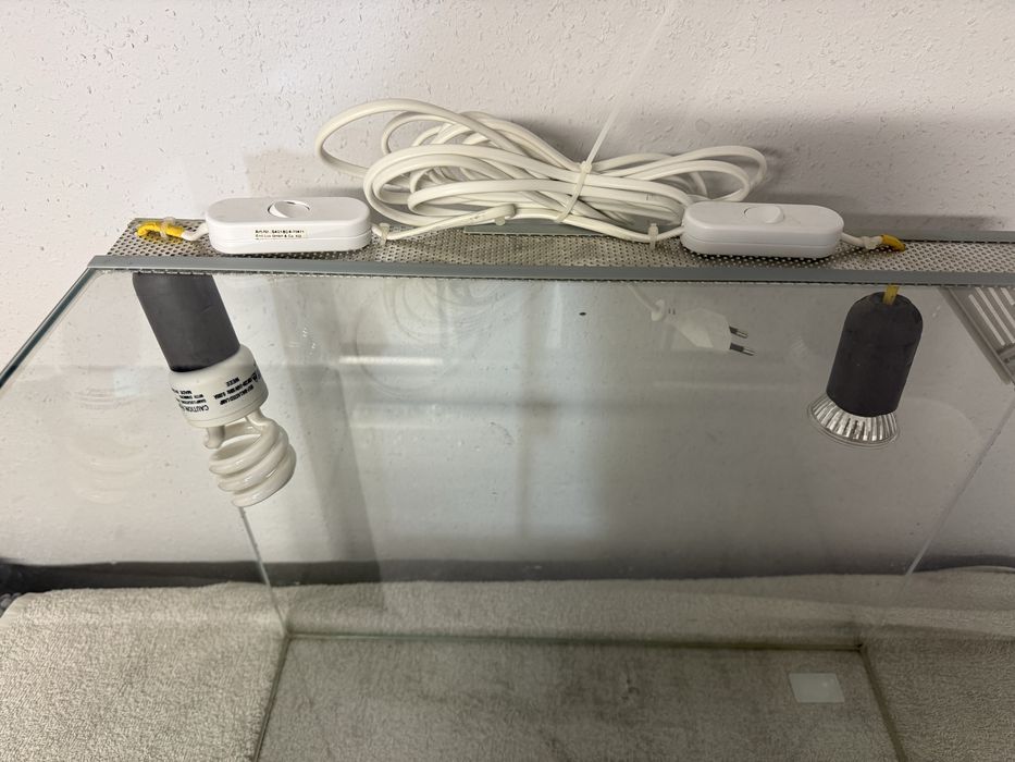 Terrarium dla  małej agamy
