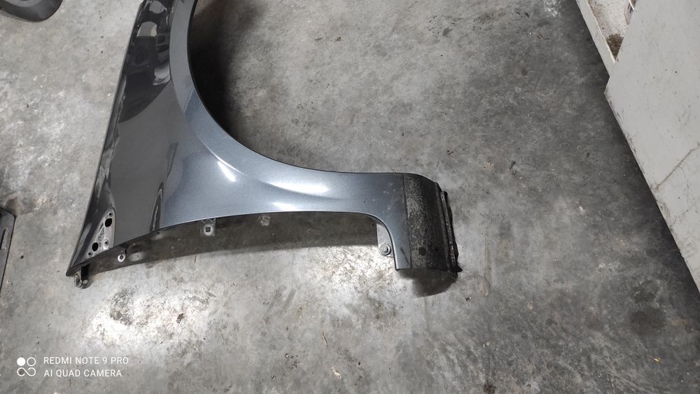 Renault Clio III blotnik prawy TEB66