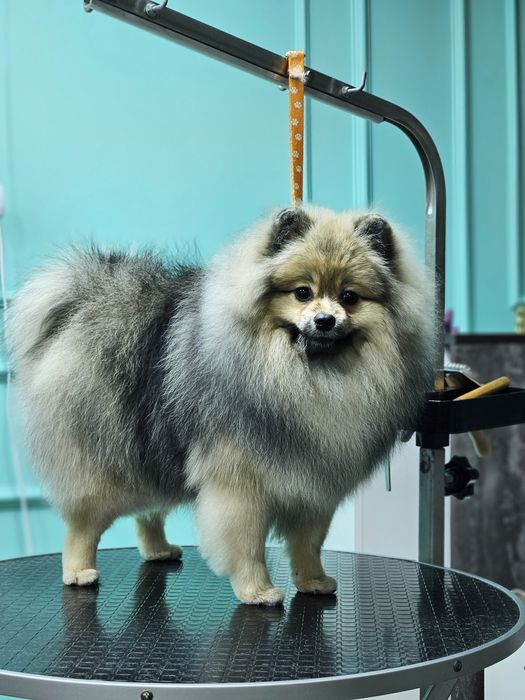 Модели на груминг