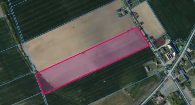 Działka rolno budowlana  Byszew  90 zł m2