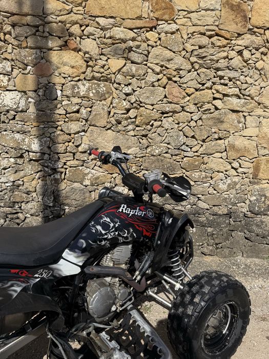 Yamaha yfm 250 de 2012