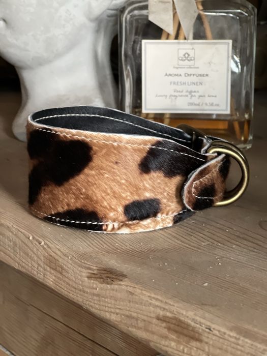 Zamszowa obroza sla Charta