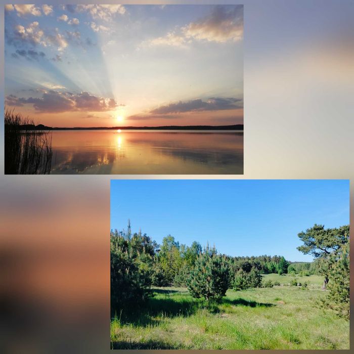 Wynajmę domek 8 osobowy całoroczny w Konarzynach  (KASZUBY)