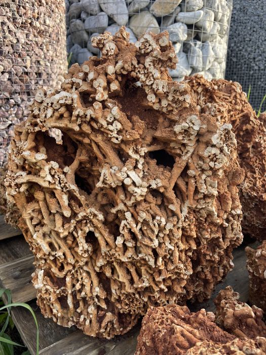 Czerwony Wapień Spaghetti Skała do Akwarium Malawi Tanganika