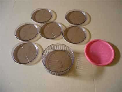 Bases para copos e garrafas445885031709429760
