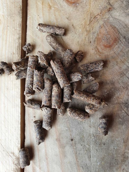 wysłodki buraczane suche granulowane w formie peletu wytłoki buraki