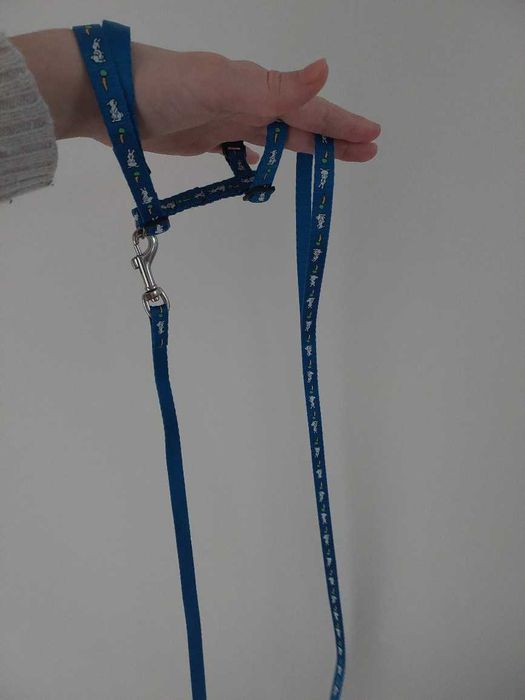 szelki i smycz dla królika