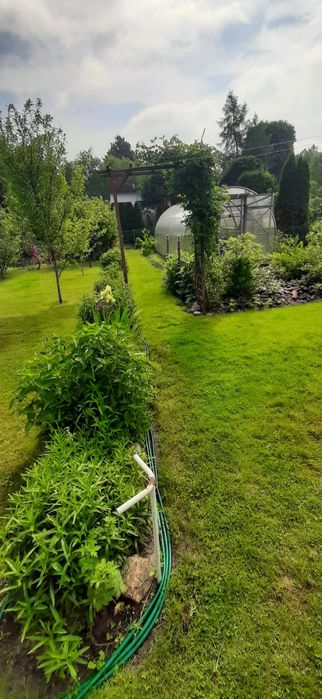 Sprzedam działkę  ROD