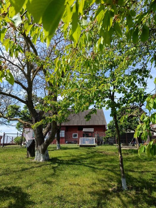 Sprzedam Dom na Wsi z Potencjałem !