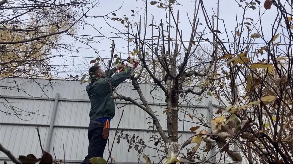 Комплексний догляд за ділянкою, садом, газоном та рослинами