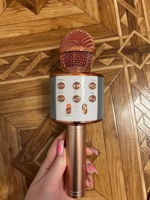 Mikrofon karaoke