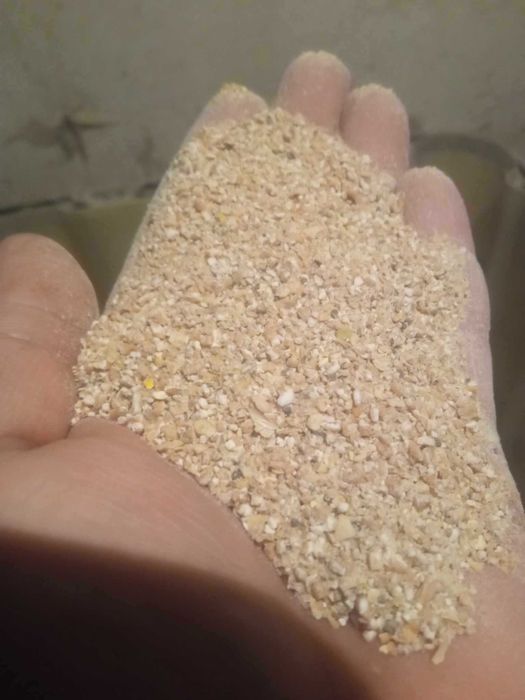 pasza dla kur niosek