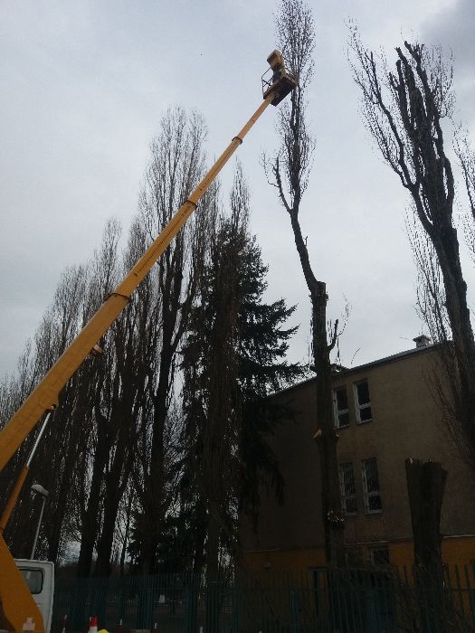 Podnośnik koszowy Warszawa, zwyżka, dźwig, wycinka drzew, wymiana lamp