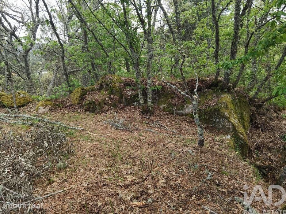 Casa de Campo em Aldeias e Mangualde da Serra de 40,00 m2