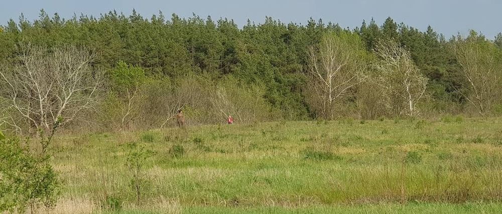 Продам участок в селе