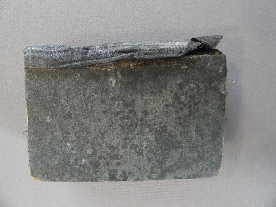 Livro A Alma aos Pés de Jesus, 1899